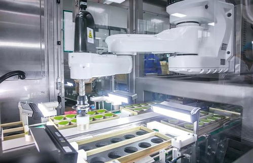 小罐茶創始人杜國楹引領茶業革新 15億投資智能工廠，AI挑茶工重塑傳統茶產業