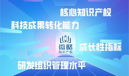 企業為何選擇代理機構申報高新技術企業 優勢與模型設計解析
